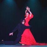 Flamenco dance show 