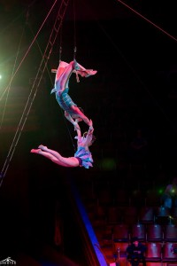 Trapeze, Aerial gmnastics (2)